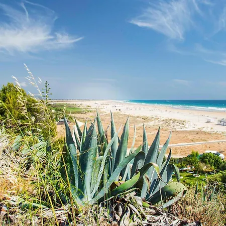 Tatil Evi Beautiful In Conil De La Frontera